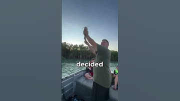 Threw a fish into the sky and you won’t believe what happened next #shorts