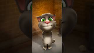 Talking Tom Chart