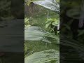 Kumpulan Sholawat #shorts #sholawatnabi #viral #dzikir #viralvideo #video #shortvideo #subscribe