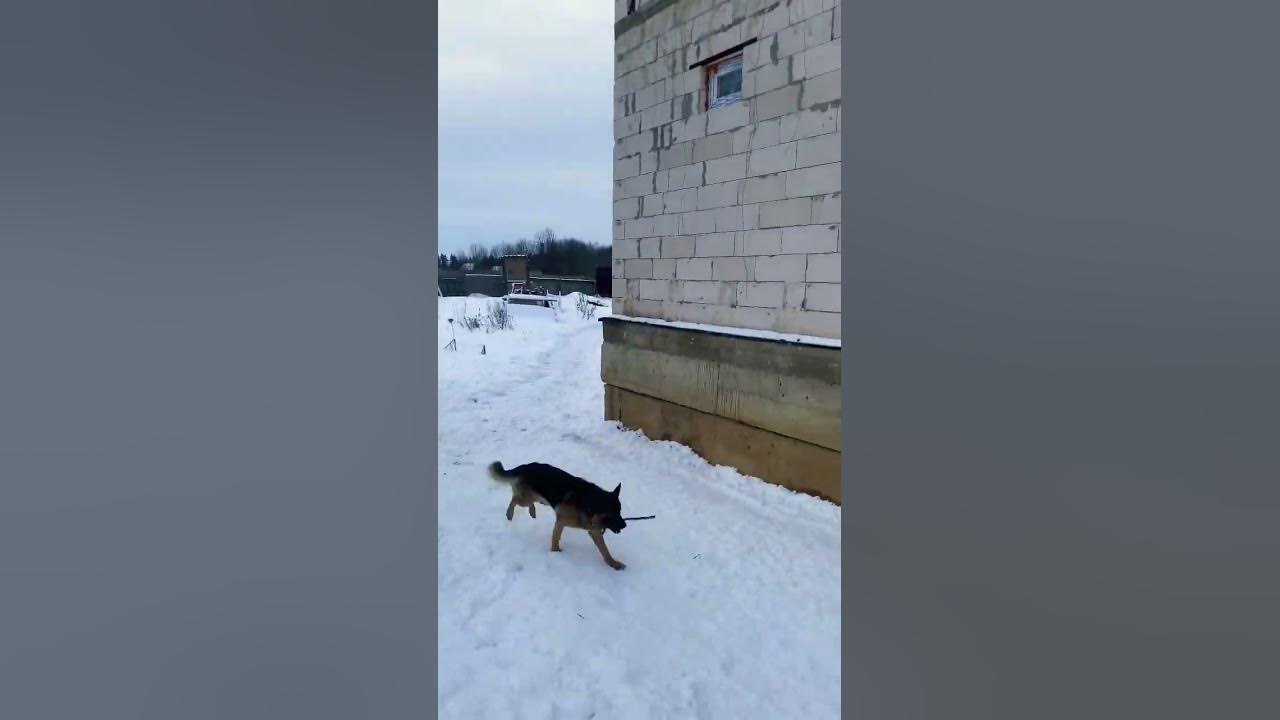Немец - YouTube