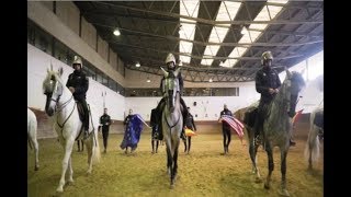 Caballos de la Policía de Sevilla en entrenamiento previo al fútbol | TodoCaballo