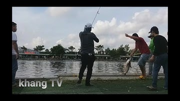 #câu cá giải trí (recreational fishing)