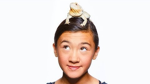 [テレビ予告] 魅惑のテラリウム～爬虫類の館～｜アニマルプラネット