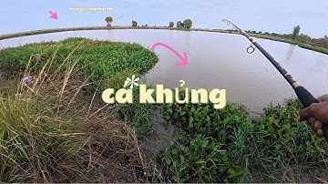 câu cá vùng biên giới về đêm cá khủng thì nhiều mà sợ quá