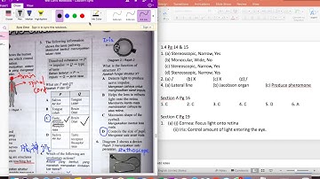 Form 3 Science Chapter 1 Stimuli and Responses Exercise discussion part 4