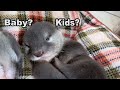 【カワウソ赤ちゃん】もう赤ちゃんは卒業!?I'm not a baby anymore!!【特別編】