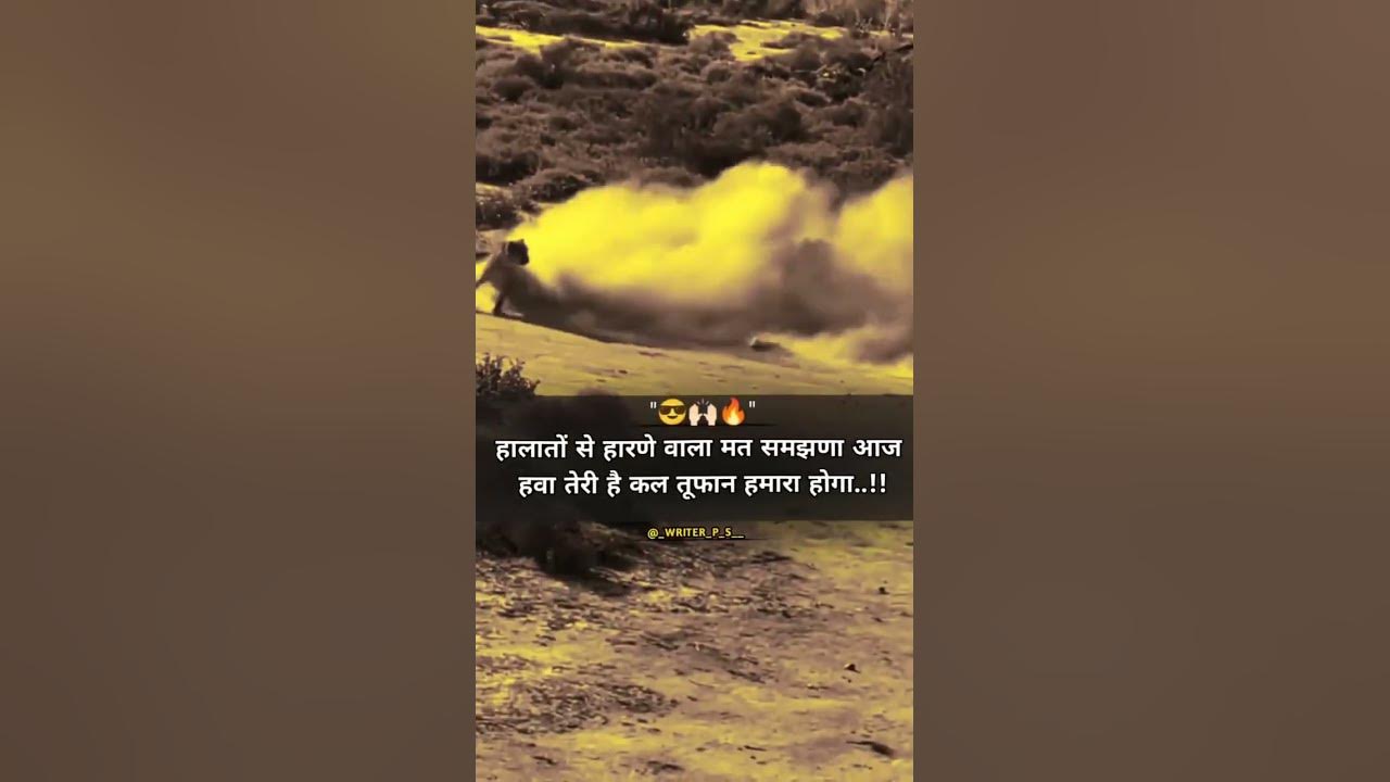 #music #snow #livewallpaper #song #love #winter #rcbpavilion #music #snow #livewallpaper #song #love #winter #rcbpavilion