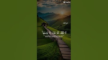 #القرآن_الكريم #تلاوات #راحة_نفسية #المصحف #صلوا_على_النبي_الأمين