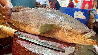 Incredible Giant Goliath Grouper Fish Cutting Live Fish Cutting Skills Bangladesh