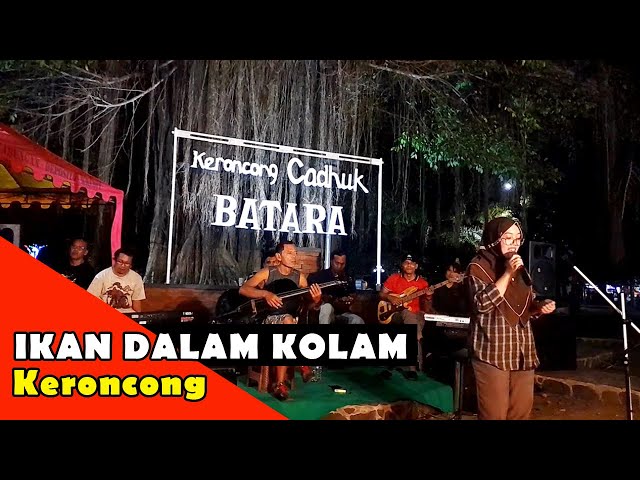 IKAN DALAM KOLAM Versi KERONCONG (Cover by Keroncong Cadhuk Batara) class=