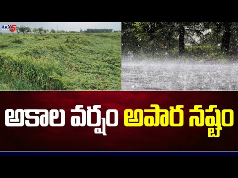 Weather Report : మరో రెండు రోజులు భారీగా వర్షాలు .. | Rain Alert Telugu States | TV5 News Digital - TV5NEWS