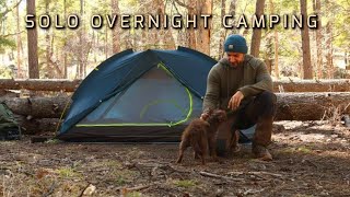 Solo Camping in the Forest, Relaxing with my Dog, ASMR