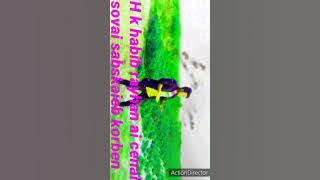 H k habib rayhan