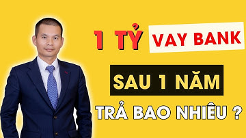Vay 1 Tỷ Ngân Hàng, Sau 1 Năm Phải Trả Bao Nhiêu Tiền Lãi? | Bùi Minh Dũng Official