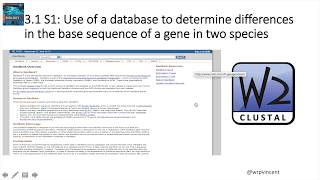 IBDP Biology Topic 3.1 Genes S1: Use of a database to determine differences in base sequences