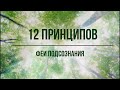 12 принципов феи подсознания