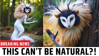 Hiker Photographed a Mythical Creature With Antlers and Golden Fur Lurking in a Old Remote Forest!