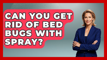 Can You Get Rid Of Bed Bugs With Spray? - Insects and Invaders