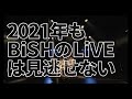 マツリー BiSH LiVE 1月30日開催