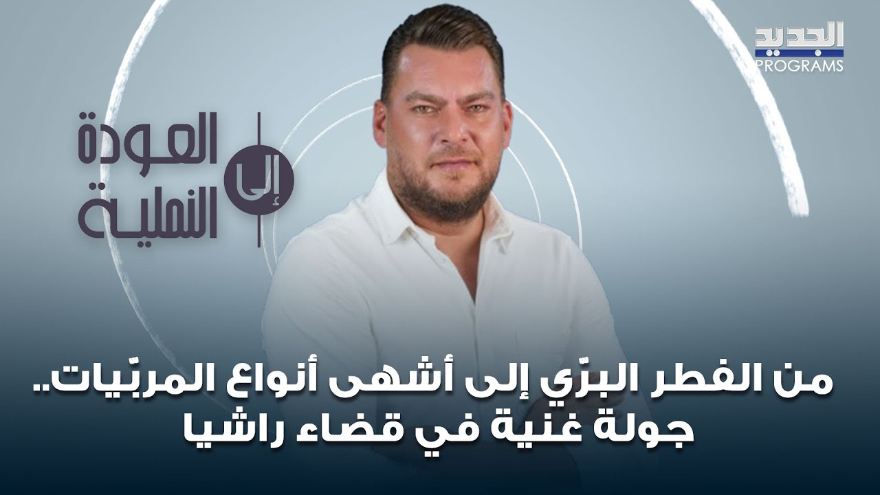 من الفطر البرّي إلى أشهى أنواع المربّيات.. جولة غنية في قضاء راشيا من قلب الأرض
