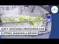 Salad processing line