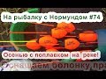 Оснащаем болонку правильно! Осенью с поплавком на реке. На рыбалку с Нормундом #74