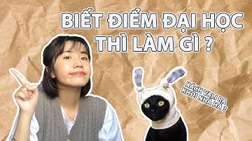 LÀM GÌ SAU KHI BIẾT ĐIỂM THI THPT QUỐC GIA | phúc khảo, đổi nguyện vọng? | Bơ Bơ