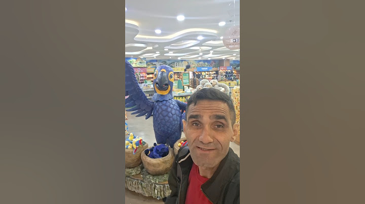 Arara Azul no Galeão do Rio de Janeiro. #humor #comedia #trending #memes #comedy #shorts #short#song