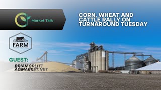 Corn, Wheat and Cattle Rally on Turnaround Tuesday