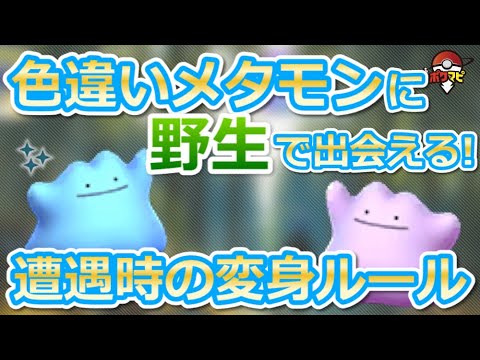 色違いメタモンと野生で出会える 遭遇時の へんしん ルールまとめ ポケモンgo Youtube