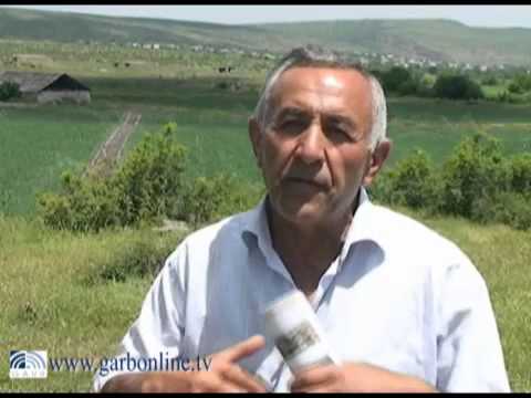 ევროპის სამეზობლო პროგრამა