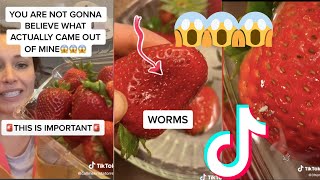 TikTok Clip Shows Bugs and Worms living on your Strawberries😱😨