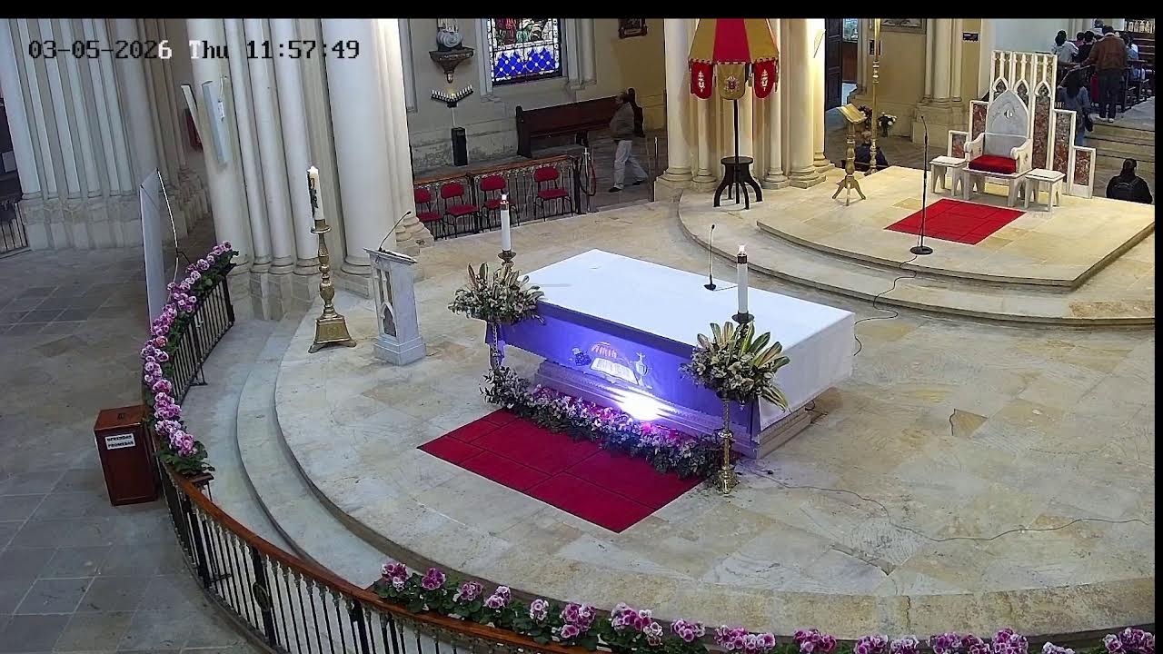 Transmisión Eucaristía Basílica de Lourdes   2026