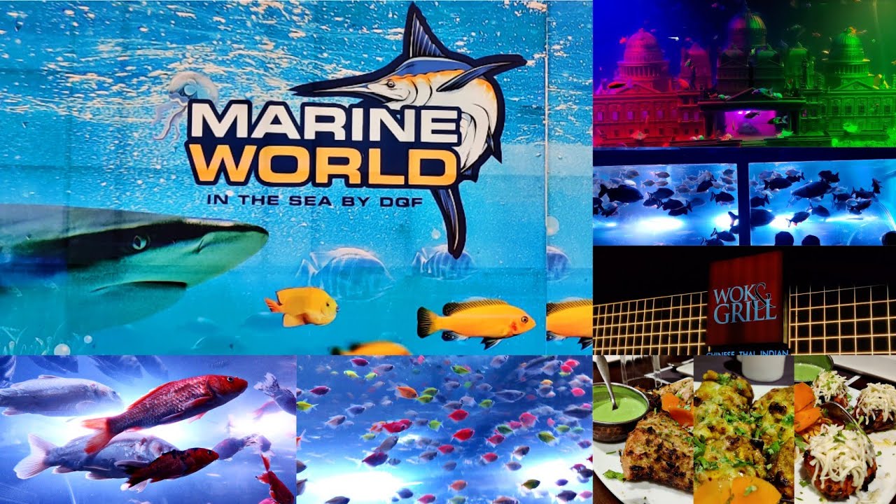 Marine World Aquarium in Kollam Fish EXPO at Ashramam Ground