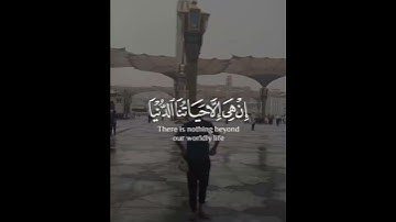 من هو القارئ  المفضل لديك؟‎‏