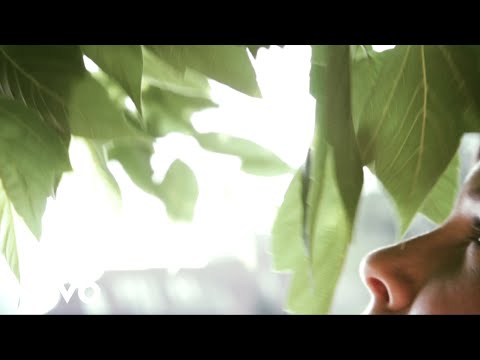 Enola Video