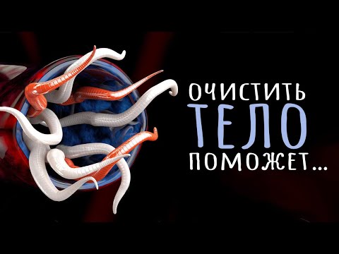 Детокс НЕ работает. Очистить тело поможет… / #ТЕДсаммари