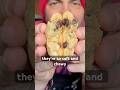Chocolate chip cookie recipe 🎄🍪🎄
