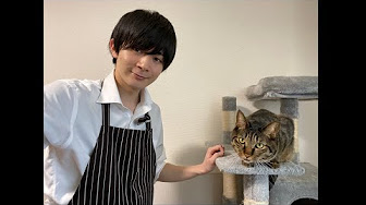 美藤大樹 Bito Taiki Youtube