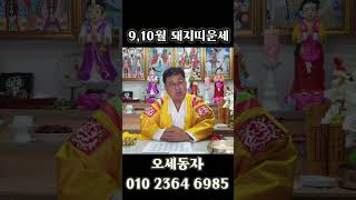 [9,10월 돼지띠운세] 나이대별 띠별운세 사주 신점 영점 서울점집 강동구점집 점집추천 금전 재물 사업 건강…