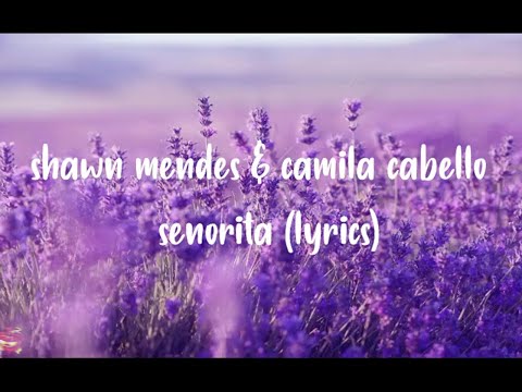 shawn+mendes+-+camila+cabello+-+señorita+[lyrics]+-+copyrightfree+-+freemusic