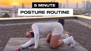 5 Min. Posture Routine | Thoracic Spine Mobility Flow
