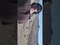AR15  FRT trigger