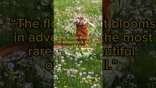 Happy spring... #bloomingflowers #disney quotes#shorts