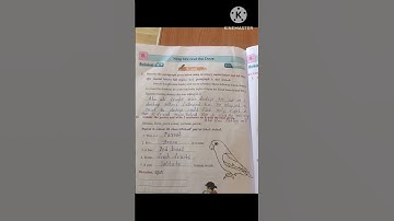 3rd class English reader King sibi and the dove@@ work sheets