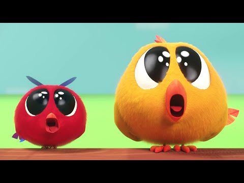 Где Чики? 🐥 Chicky НОВАЯ СЕРИЯ! | Прогулка на природе 🐣 Сборник мультфильмов на русском языке