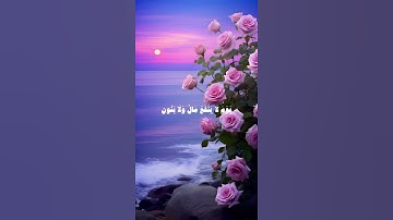 ولا تخزني يوم يبعثون يوم لا ينفع مال ولا بنون 🌿قرآن كريم 🌿القارئ بدر التركي