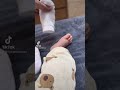 بيبي كيوت بيبي بيبي بيبي بيبيي عرب تيك توك تيك توك المشاهير تيكتوك ترند Babyboy Babylove بيبي كيوت بيبي بيبي بيبي بيبيي عرب تيك توك تيك توك المشاهير تيكتوك ترند Babyboy Babylove