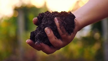 Our Comprehensive Strategy