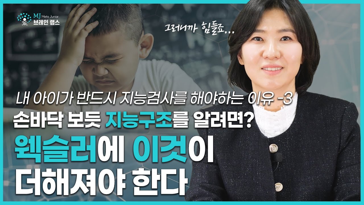 웩슬러와 함께 '이것'도 더해져야 합니다! – 내 아이가 반드시 지능검사를 해야 하는 이유 3편